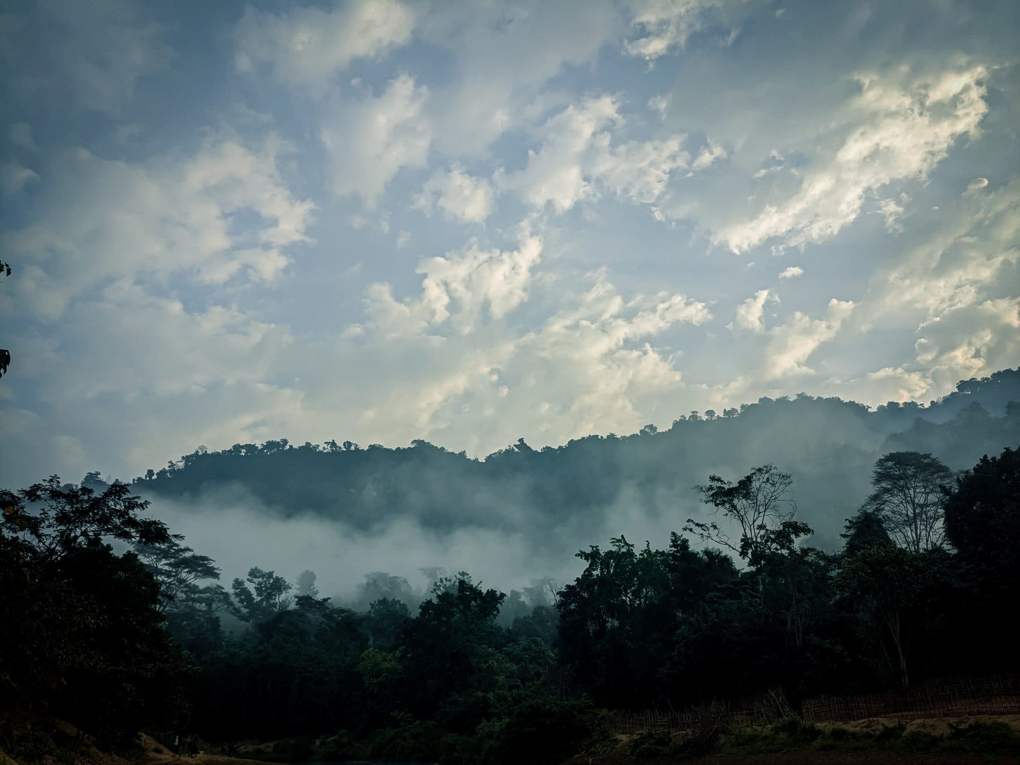 A serene landscape depicting a misty forest setting at dawn or dusk
